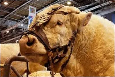 Où se tient le Salon international de l'agriculture ?