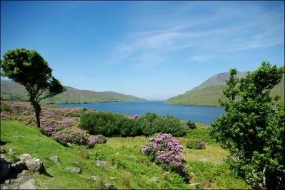 En quelle anne l'Irlande est-elle devenue indpendante ?