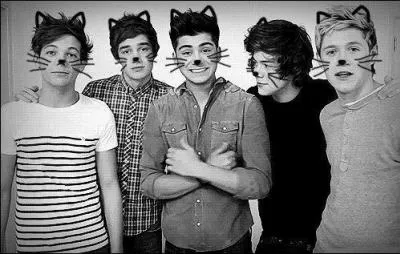 Pour la nouvelle tourne, y aura-t-il des dates en France ?