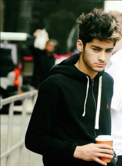 Combien Zayn a-t-il de surs ?