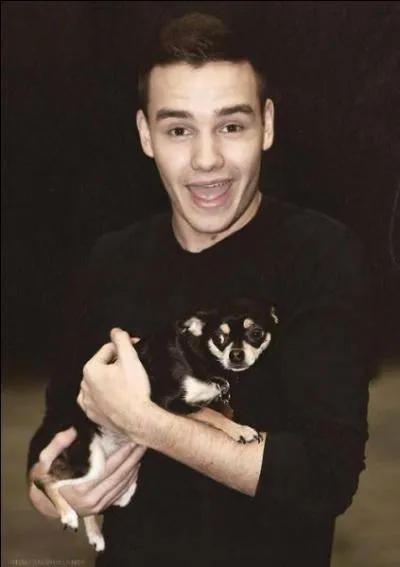 Combien Liam a-t-il de frres ?