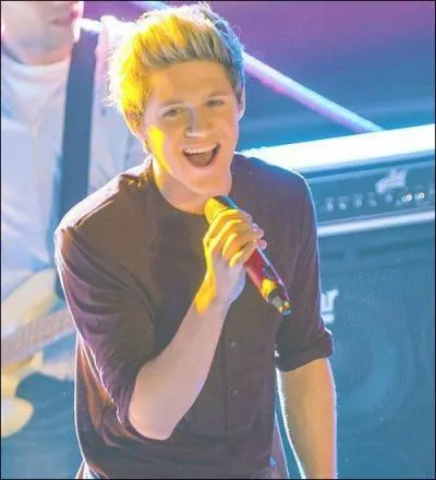 Combien Niall a-t-il de frres ?