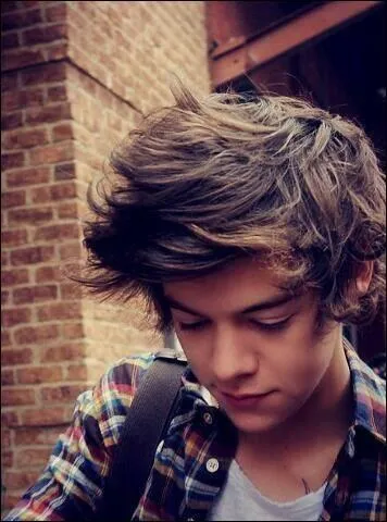 Comment s'appelle la sur de Harry ?