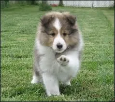 Quel est son surnom ?