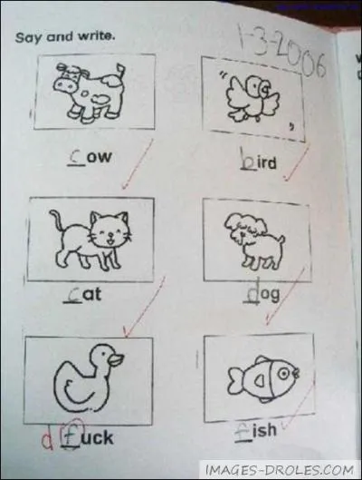 Comment se nomme le petit de la canette ? (Femelle du canard)