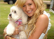 Quiz Ashley Tisdale