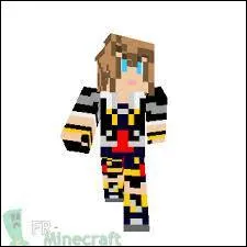 A qui appartient ce skin ?