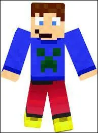 A qui appartient ce skin ?