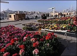 Si je vous dis que ce march se tient place de la Joliette, vous me rpondrez que cela se trouve dans le :