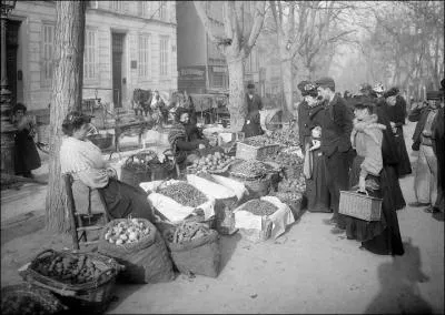 Que reprsente cette photographie des activits commerciales de Marseille, au XIXe sicle ?