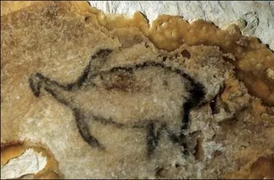 Il existe un sanctuaire prhistorique majeur dcouvert au cours de l't 1991 par un plongeur de Cassis qui tmoigne de la prsence des hommes prhistoriques dans la baie de Marseille.