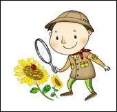  Chercher la petite bte  souligne 