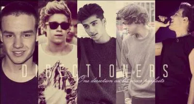 En quelle anne les One Direction ont-ils particip  X Factor UK ?