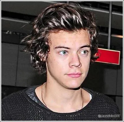 Quel est le nom complet d'Harry ?