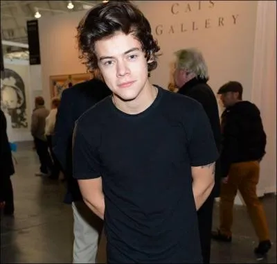 Quand Harry est-il n ?