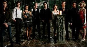 Dans «Vampire Diaries», quel(s) est(sont) le(s) bon(s) mot(s) clé(s) ?