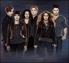 Dans Twilight, quel(s) est(sont) le(s) bon(s) mot(s) cl(s) ?