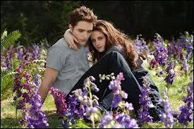 Dans Twilight, quel(s) est(sont) le(s) bon(s) mot(s) cl(s) ?