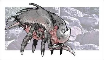 Quelle est cette crature?