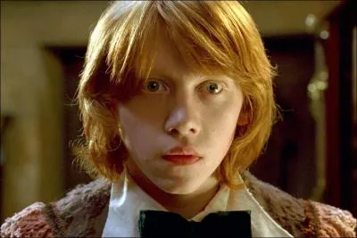 Comment s'appelle le hibou de ce jeune homme?