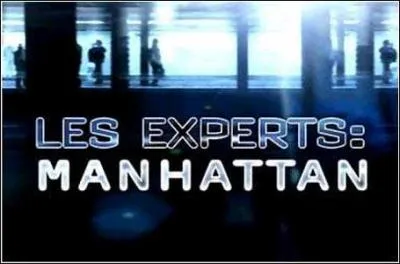 Qui joue Mac Taylor dans les 'Experts Manhattan' ?