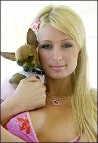 Qui est cette clbrit ?