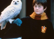 Quiz La rentre d'Harry Potter