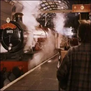 Quelle cohue sur le quai de la lgendaire voie 9 3/4 ! Quelle affirmation est fausse ?