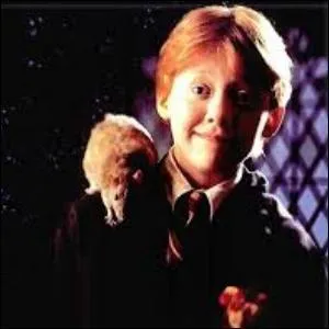 Avec un rat comme Crotard, un trajet en train se passe toujours paisiblement... Quelle affirmation est fausse ?