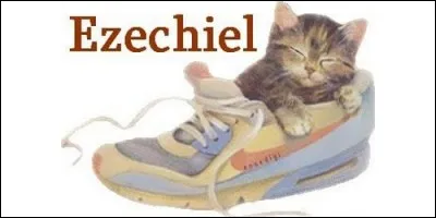 Le prénom Ezéchiel est d'origine hébraïque. Qui était-il ?