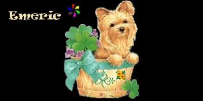 Quelle est la signification du prénom Emeric, d'origine germanique ?