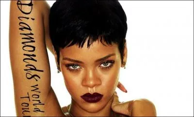 Comment s'appelle sa tourne mondiale en 2013 ?