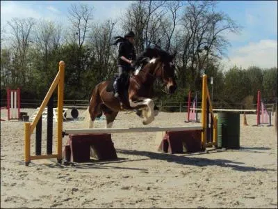 Comment s'appelle l'obstacle que je saute ?