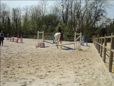 Quelle est la couleur de la queue de mon cheval ?