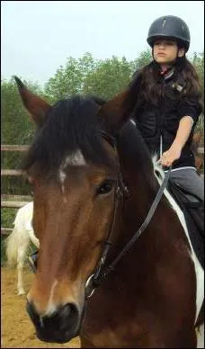 Qu'est-ce que je fais ?