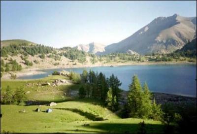D'aprs vous, le loup est-il rapparu au parc national du Mercantour ?