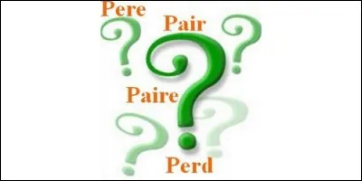 Lequel de ces mots a pour définition "couple" ?