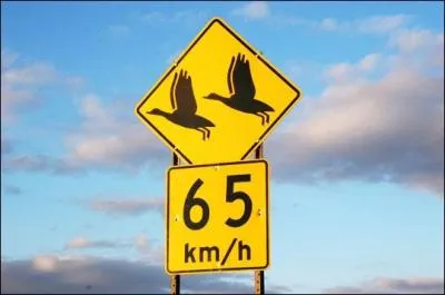 Cette pancarte nous signale...