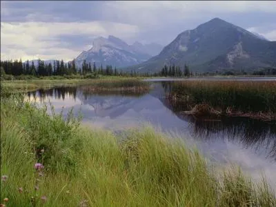 Quel est le grand parc national au Canada o vous pourrez voir la plupart de ces grandes espces ?