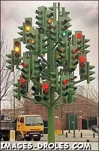 Maintenant, vous pouvez ...