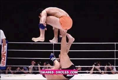 Sport et spectacle s'inspirant de la lutte, populaire en Amrique du nord ...