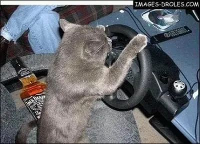 Sport automobile hautement domin par Sbastien Loeb ...