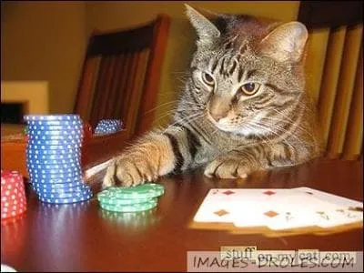 Loisir plus que discipline sportive ncessitant chance, nerf solide, sang froid et se jouant avec des cartes ...