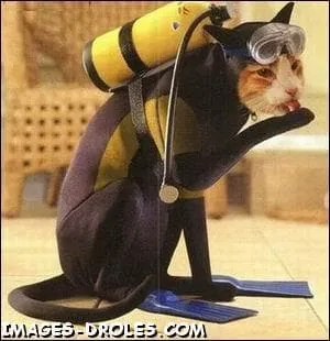 Discipline consistant  descendre en profondeur avec des bouteilles ...