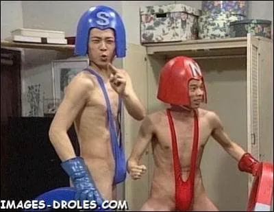 Discipline olympique ou il faut maintenir les deux paules de son adversaire colles au tapis. Deux varits majeures, la libre et la grco-romaine ...