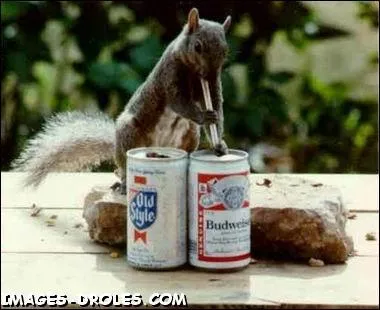 Dpendance : quelle substance lgale se boit dans des canettes ?