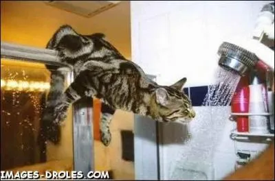 Se prend pour se laver ...