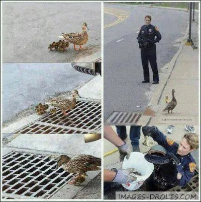 Couvercle interdisant l'accs des rseaux d'assainissement souterrains ...