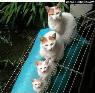 Principe similaire aux poupes russes. Empilement de botes les unes dans les autres ...