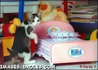 Maison miniature que les petites filles adorent pour jouer ...